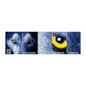 Photo Wallpaper Sample Standard Eco - Mesmerising Look - Animals, Wolf, Eyes - 100x30 cm