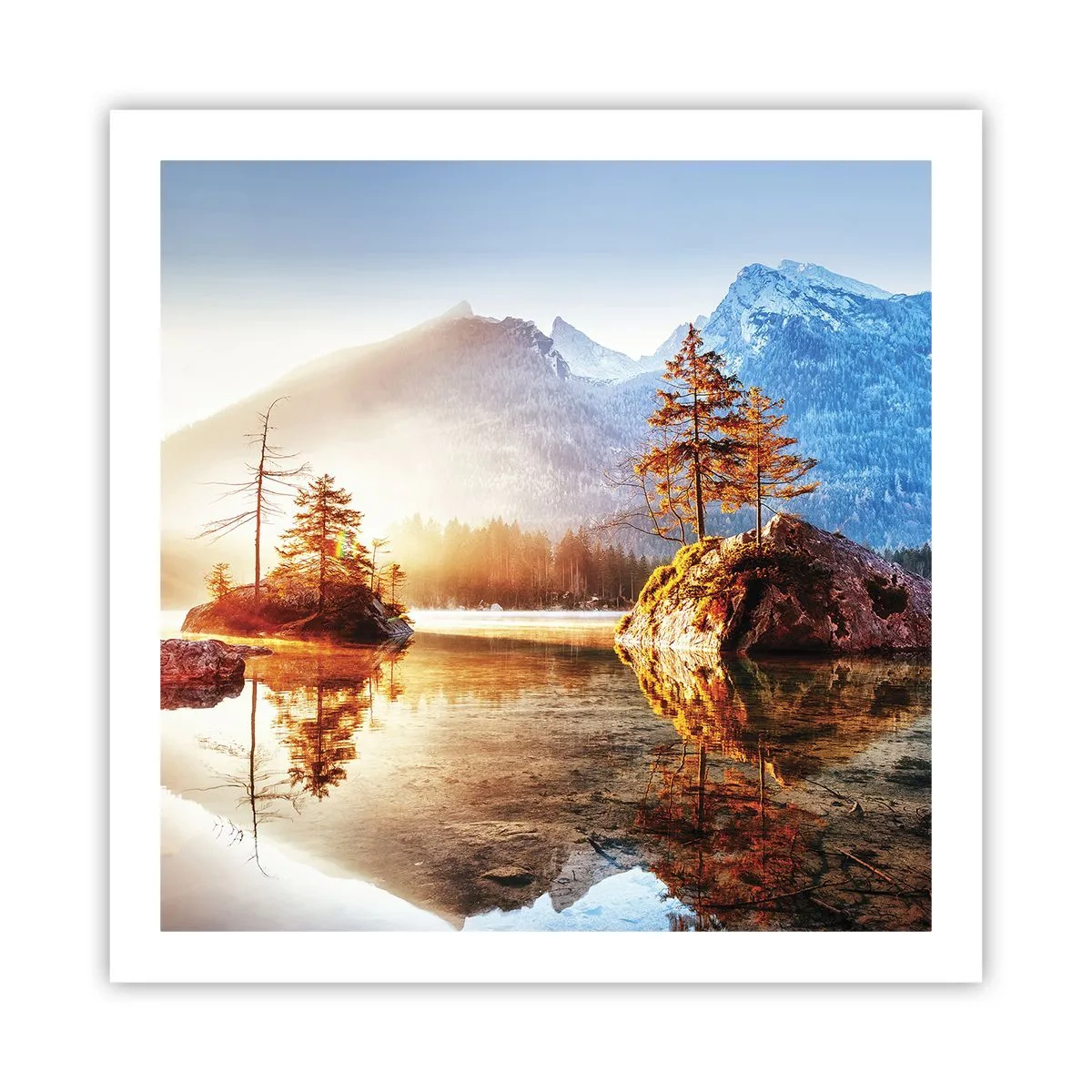 Poster - Nature in New Light - 60x60 cm