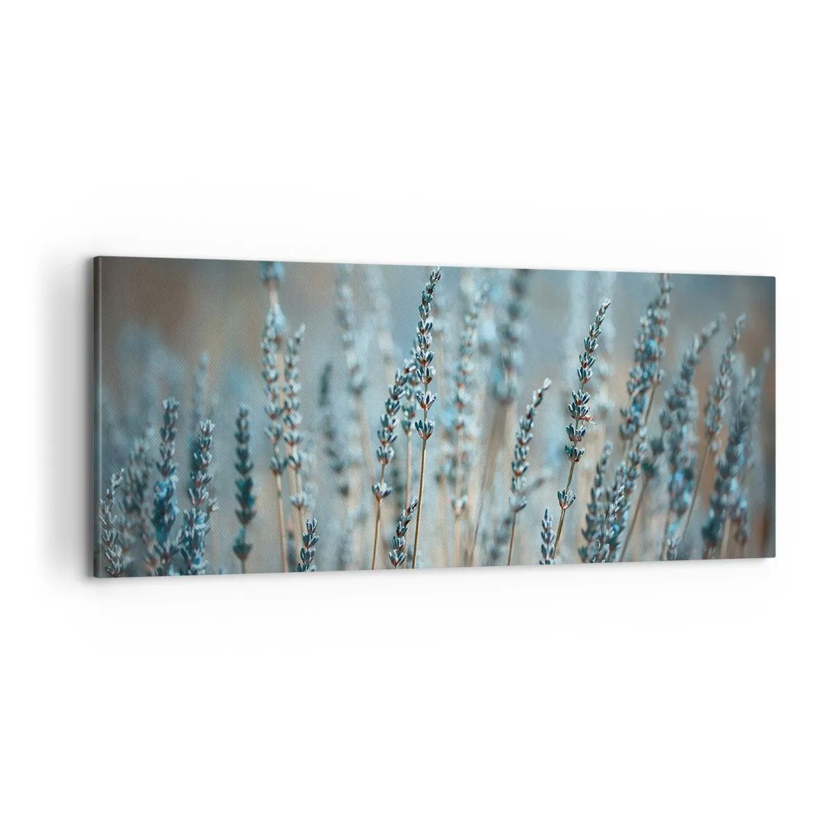Canvas picture - Fragrant Grass - 100x40 cm