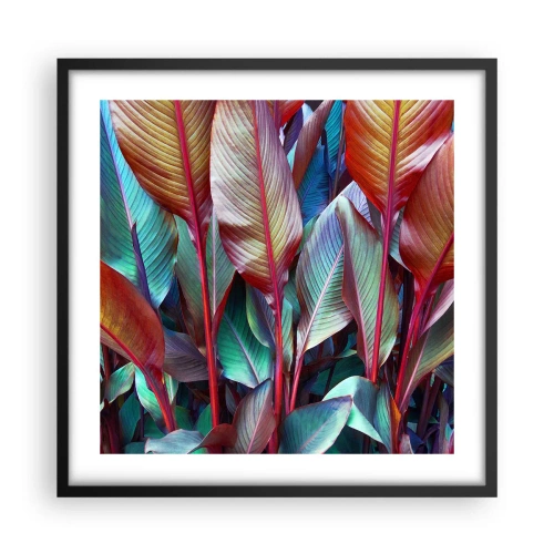 Poster in black frame - Colourful Thicket - 50x50 cm