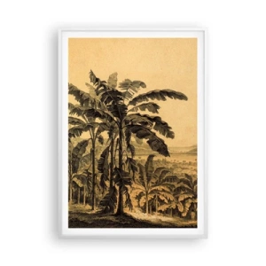 Poster in white frmae - In Colonial Character - 70x100 cm