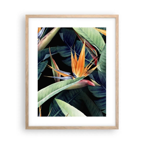 Poster in light oak frame - Flaming Flowers of the Tropics - 40x50 cm