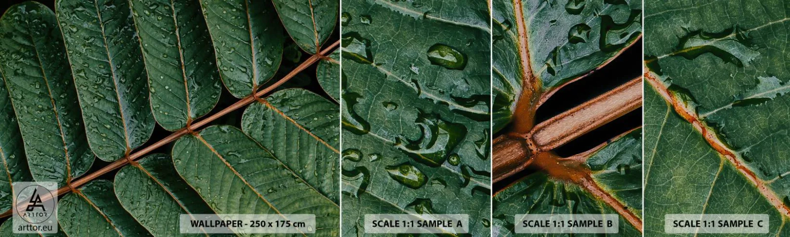 Photo Wallpaper Sample Self-Adhesive Deluxe Sticker - In Green Rhythm - Green leaves, Tropical Plant, Piece - 100x30 cm