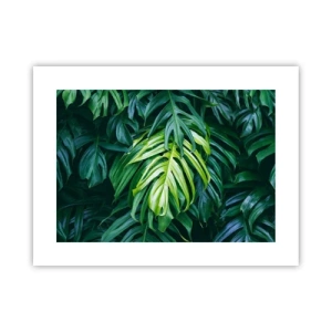 Poster - Immerse Yourself in Freshness - 40x30 cm