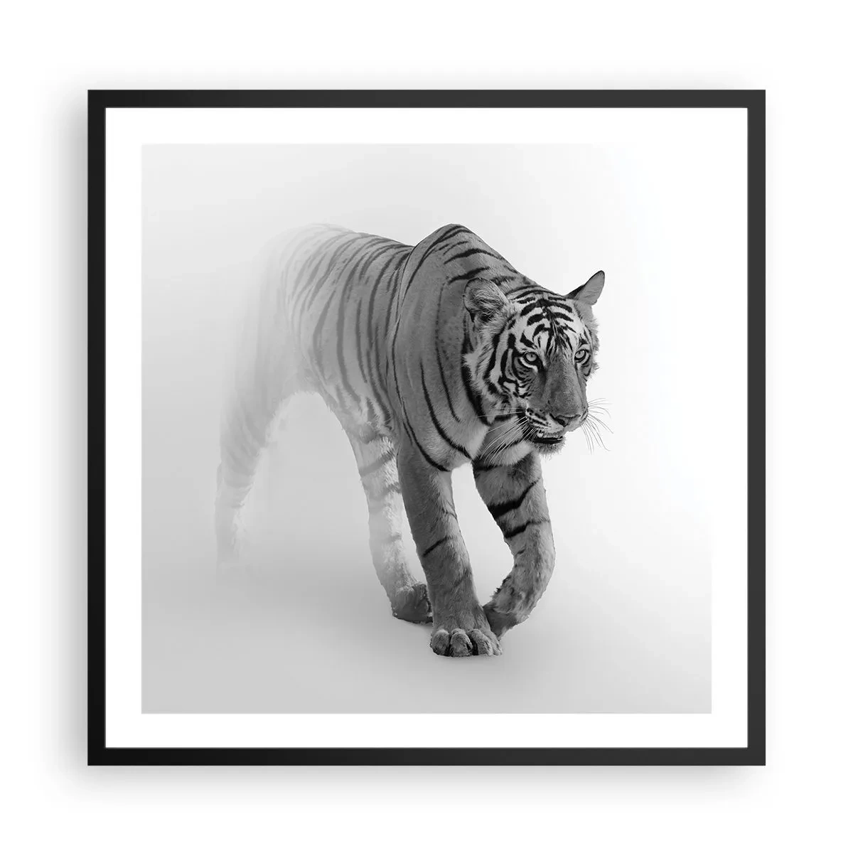Poster in black frame - Crouching in Fog - 60x60 cm