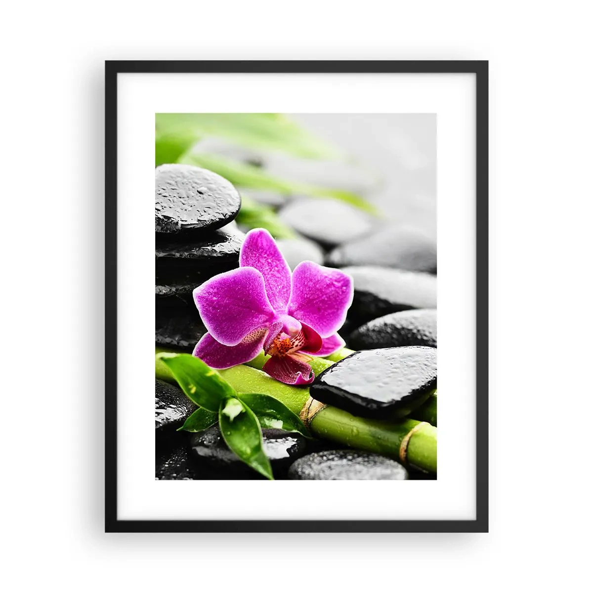 Poster in black frame - In a Peaceful Balance - 40x50 cm