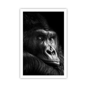 Poster - What Are You Looking At? - 61x91 cm