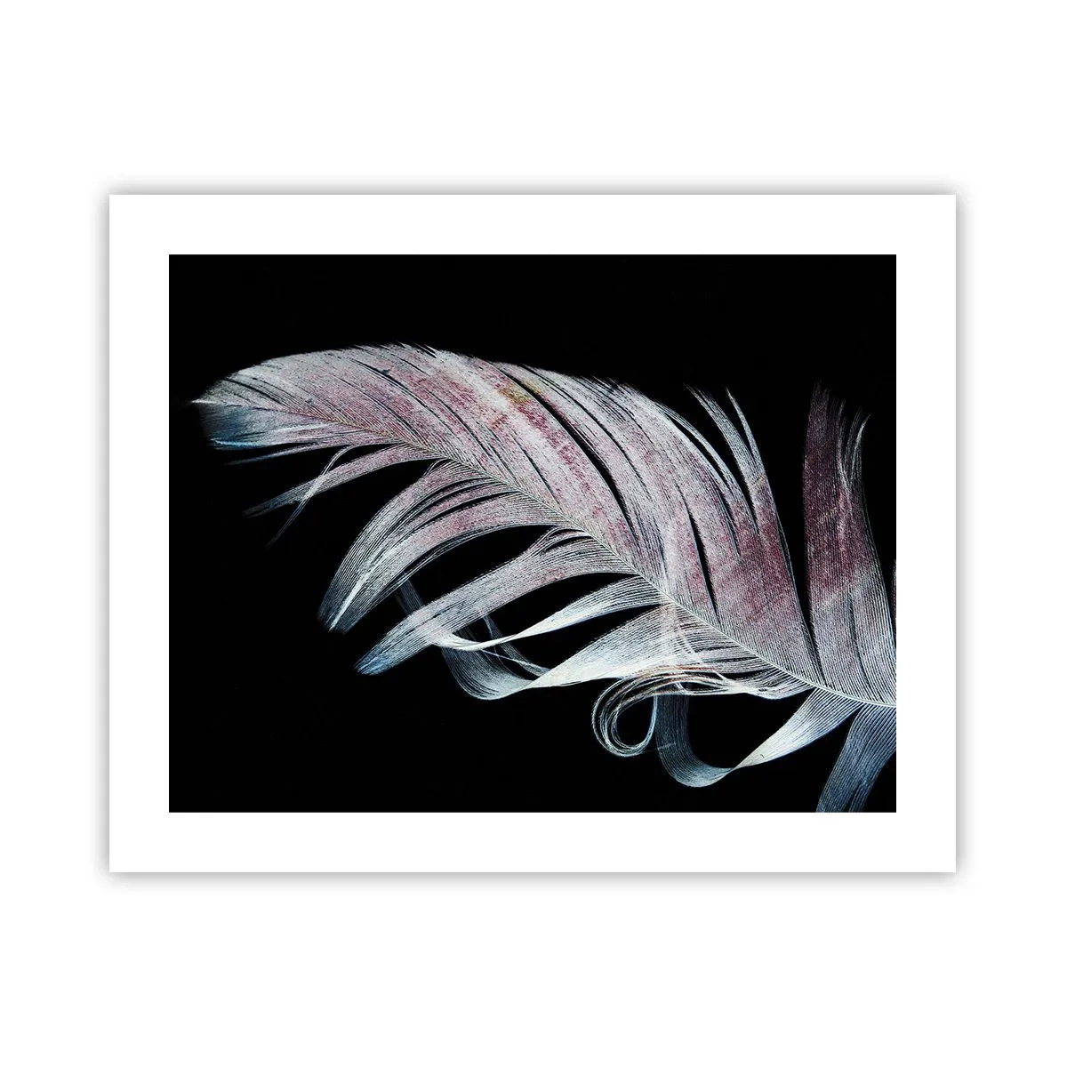 Poster - Think about Touch - 50x40 cm