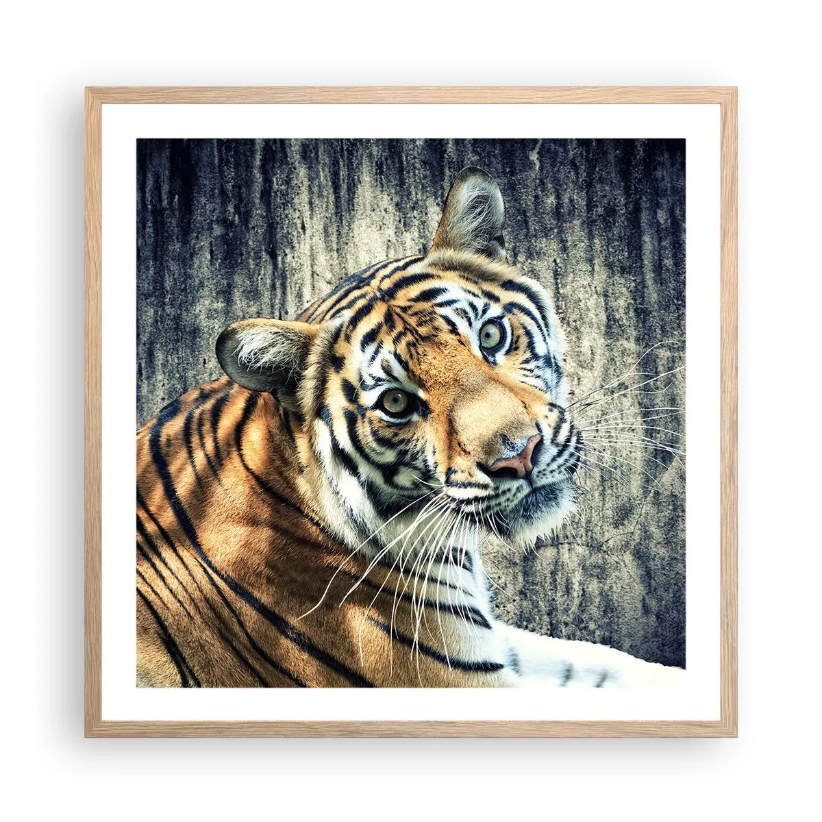 Poster in light oak frame - Portrait in Rays of Light - 60x60 cm