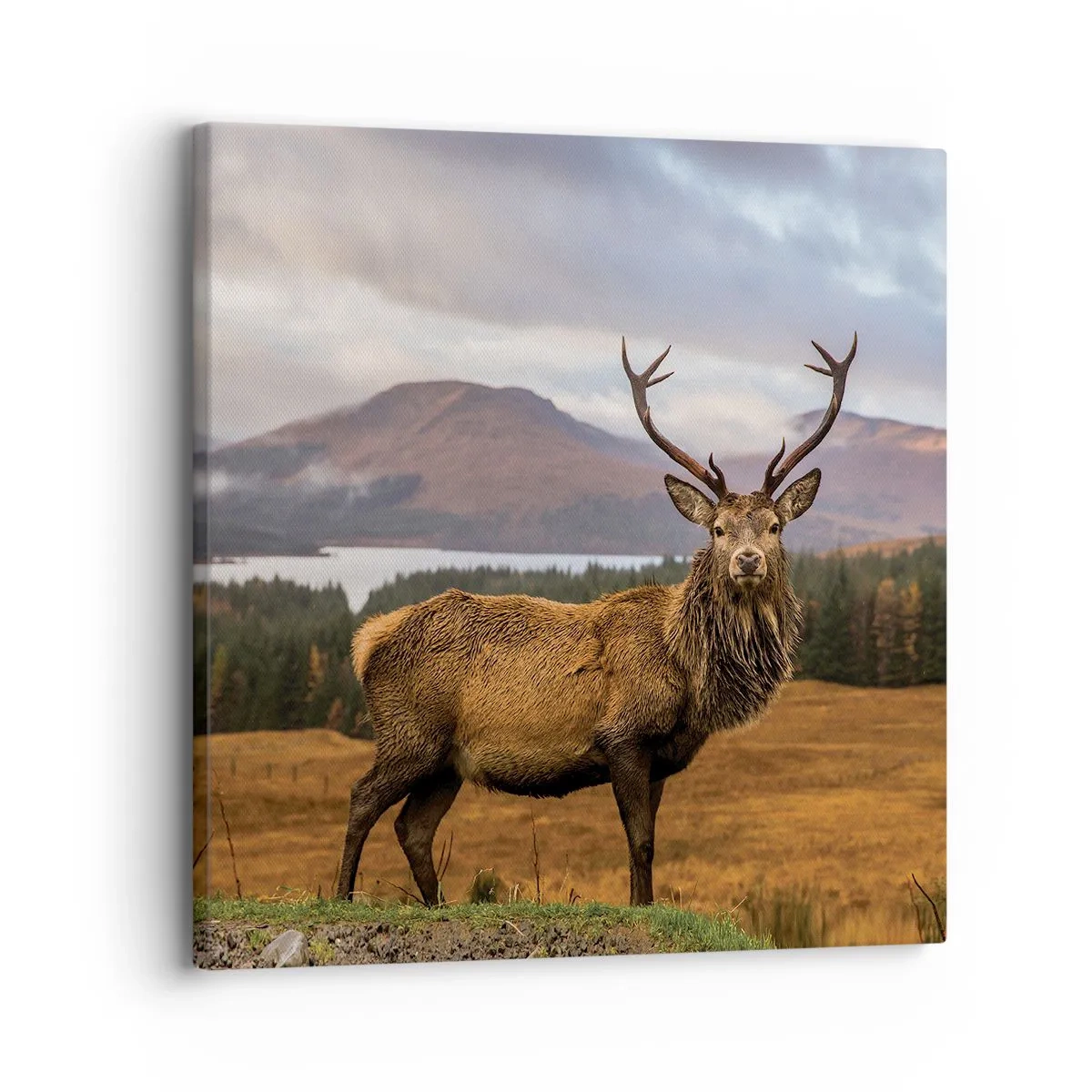 Canvas picture - Majesty of Nature - 30x30 cm