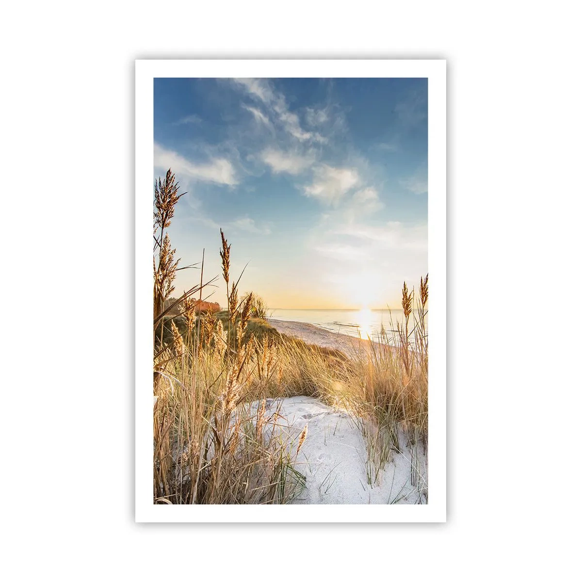 Poster - Northern Beach - 61x91 cm