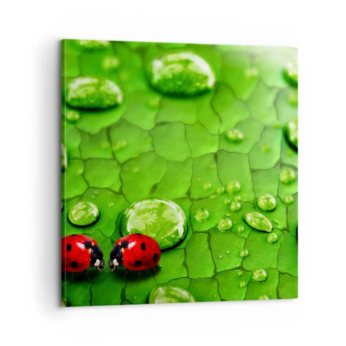 Canvas picture - Encounter in Green - 60x60 cm