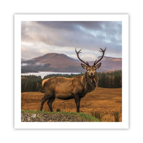 Poster - Majesty of Nature - 60x60 cm