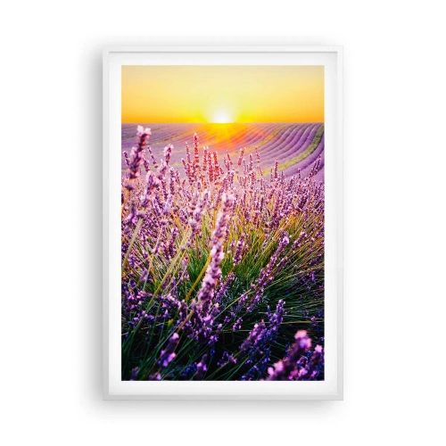 Poster in white frmae - Fragrant Field - 61x91 cm