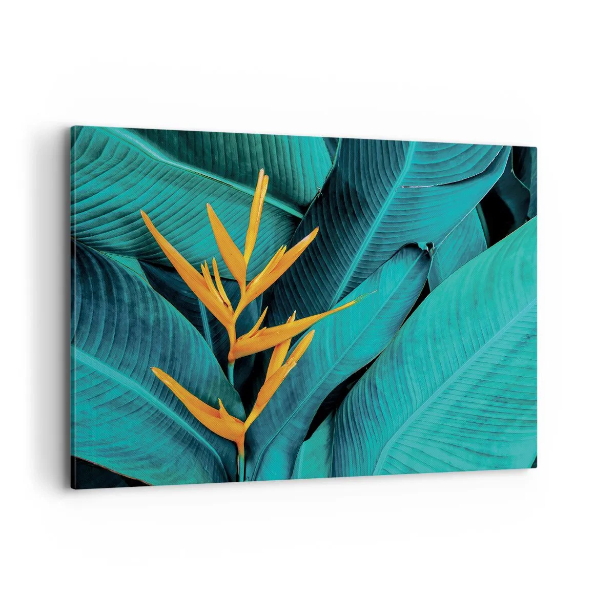 Canvas picture - Flower of Eden - 100x70 cm