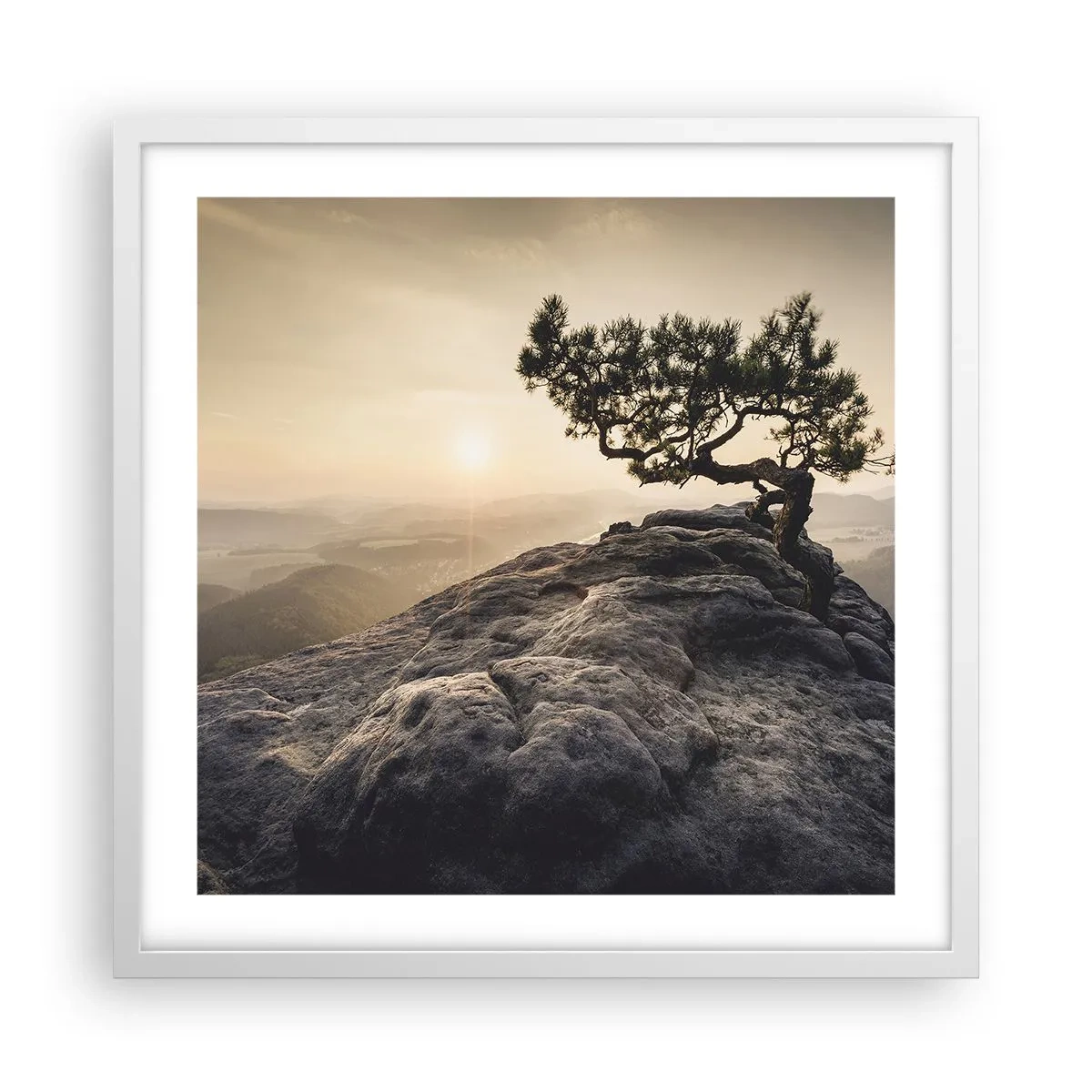 Poster in white frmae - Life Always Wins - 50x50 cm