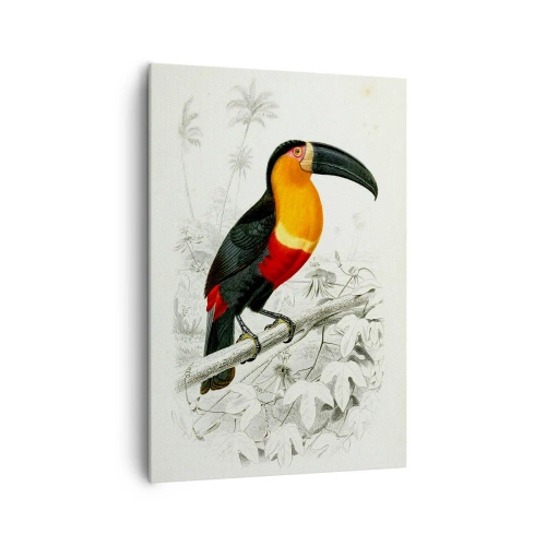 Canvas picture - Bird Colours - 70x100 cm