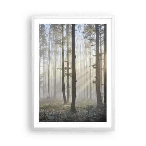 Poster in white frmae - Fog Has Woken up Too - 50x70 cm