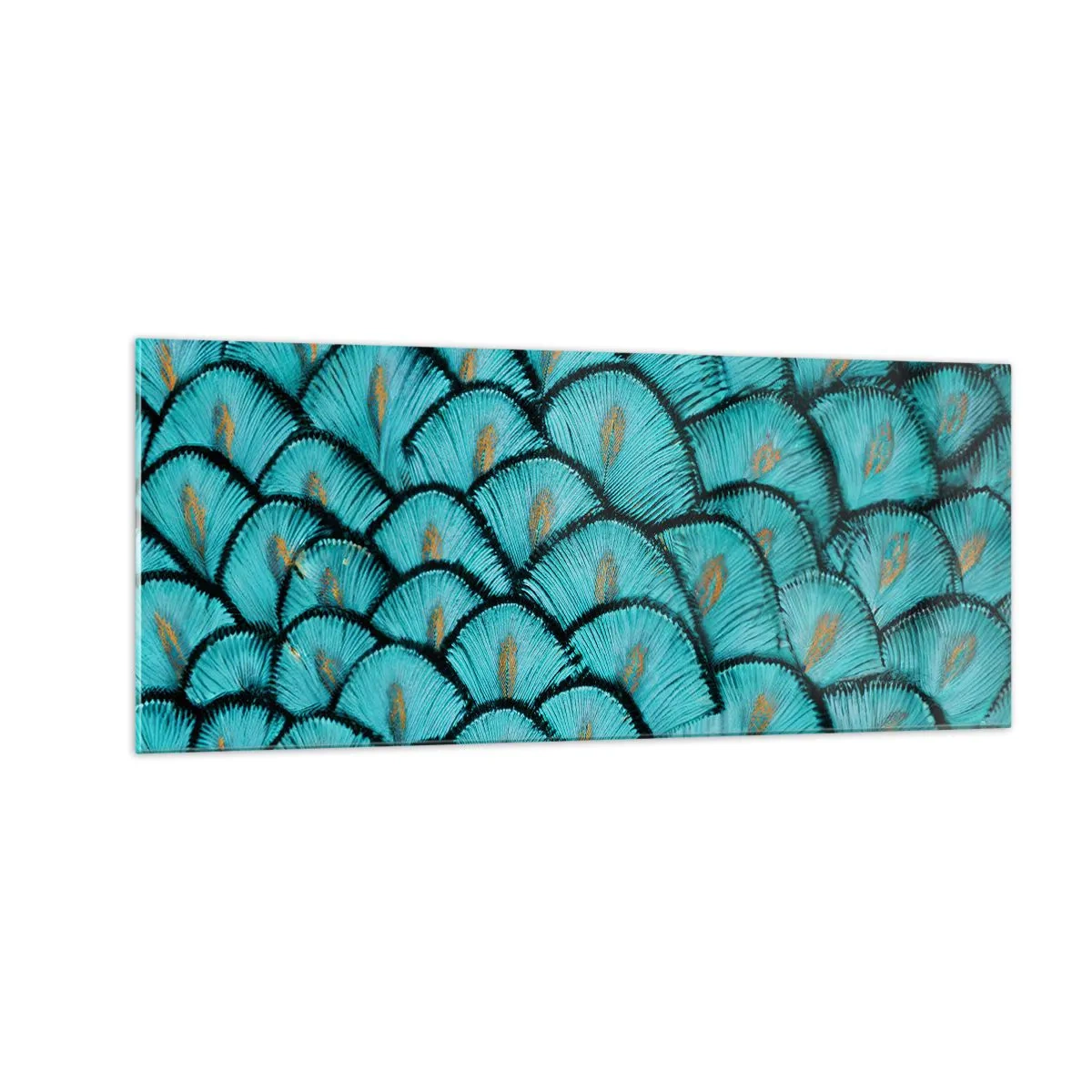 Glass picture - Great Feather Gala - 100x40 cm