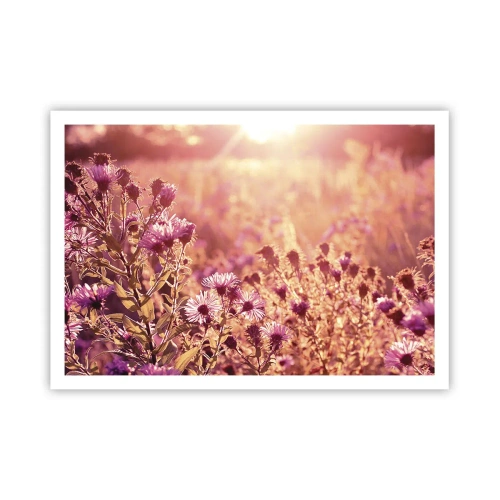 Poster - Before Summer Goes - 100x70 cm