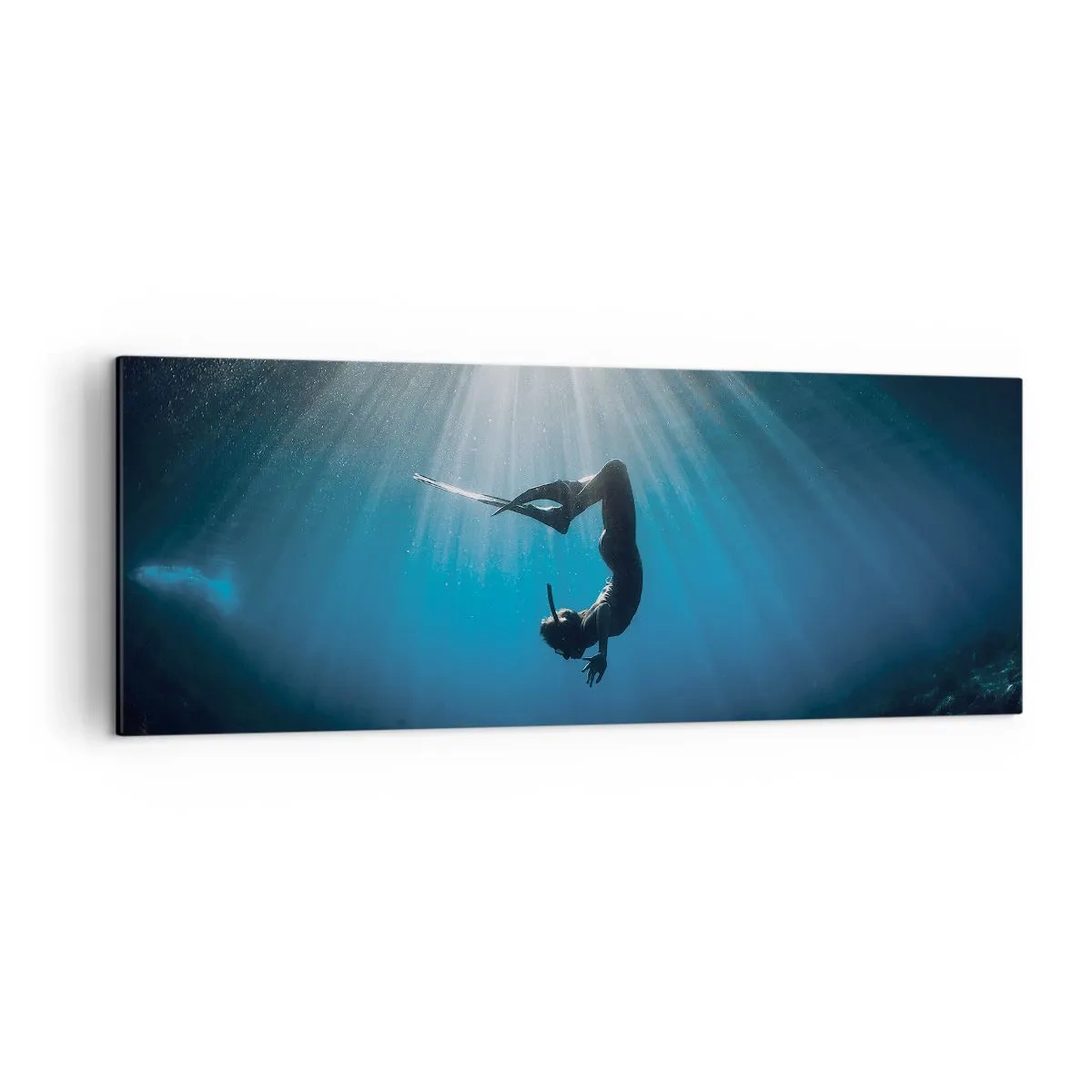 Canvas picture - Underwater dance - 140x50 cm