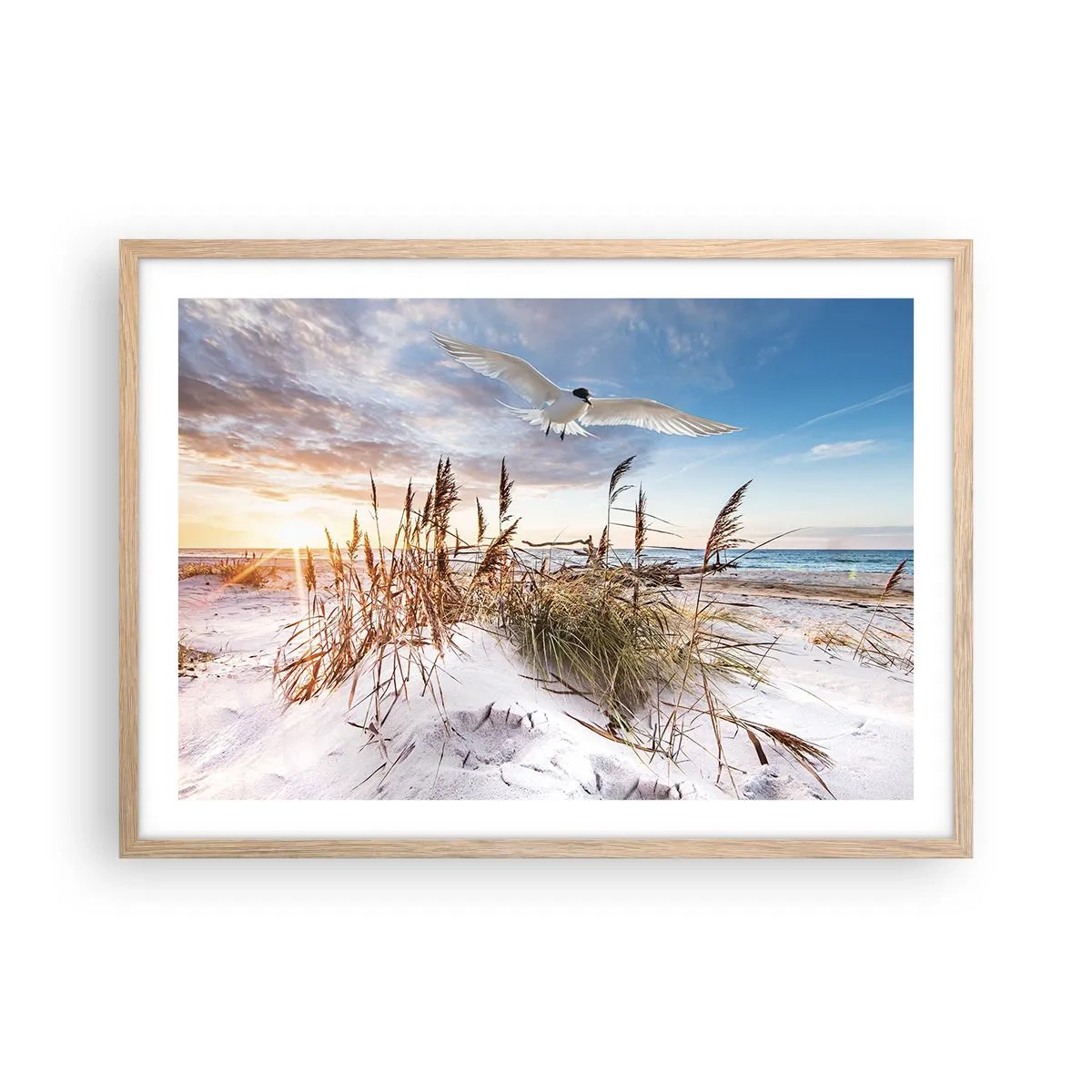 Poster in light oak frame - Wind from the Sea - 70x50 cm