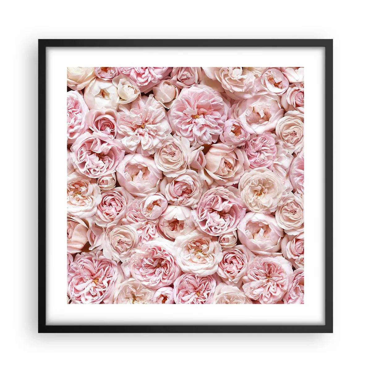 Poster in black frame - Decked with Roses - 50x50 cm