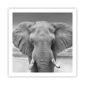 Poster - Welcome to My World - 60x60 cm