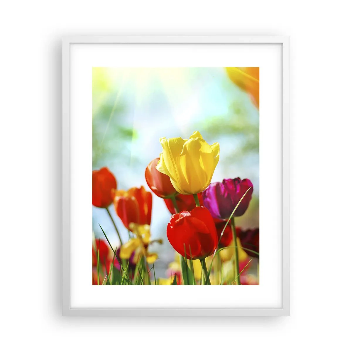 Poster in white frmae - All Colours of the Sun - 40x50 cm