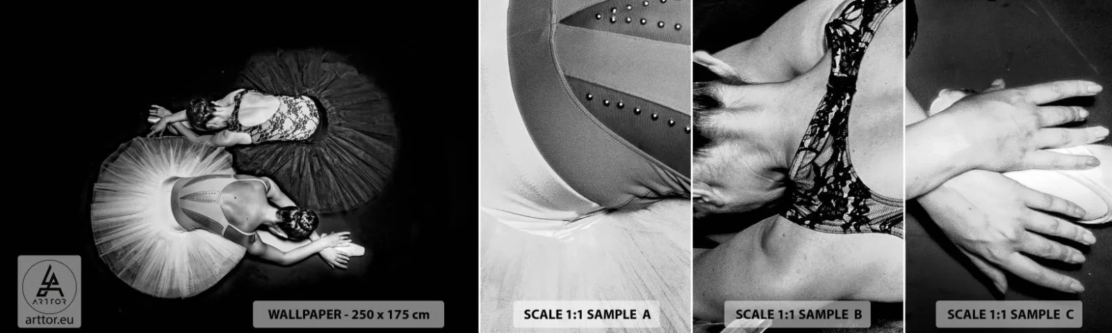 Photo Wallpaper Sample Standard Eco - Yin and Yang - Ideal Balance - Ballerina, Ballet, Dance - 100x30 cm