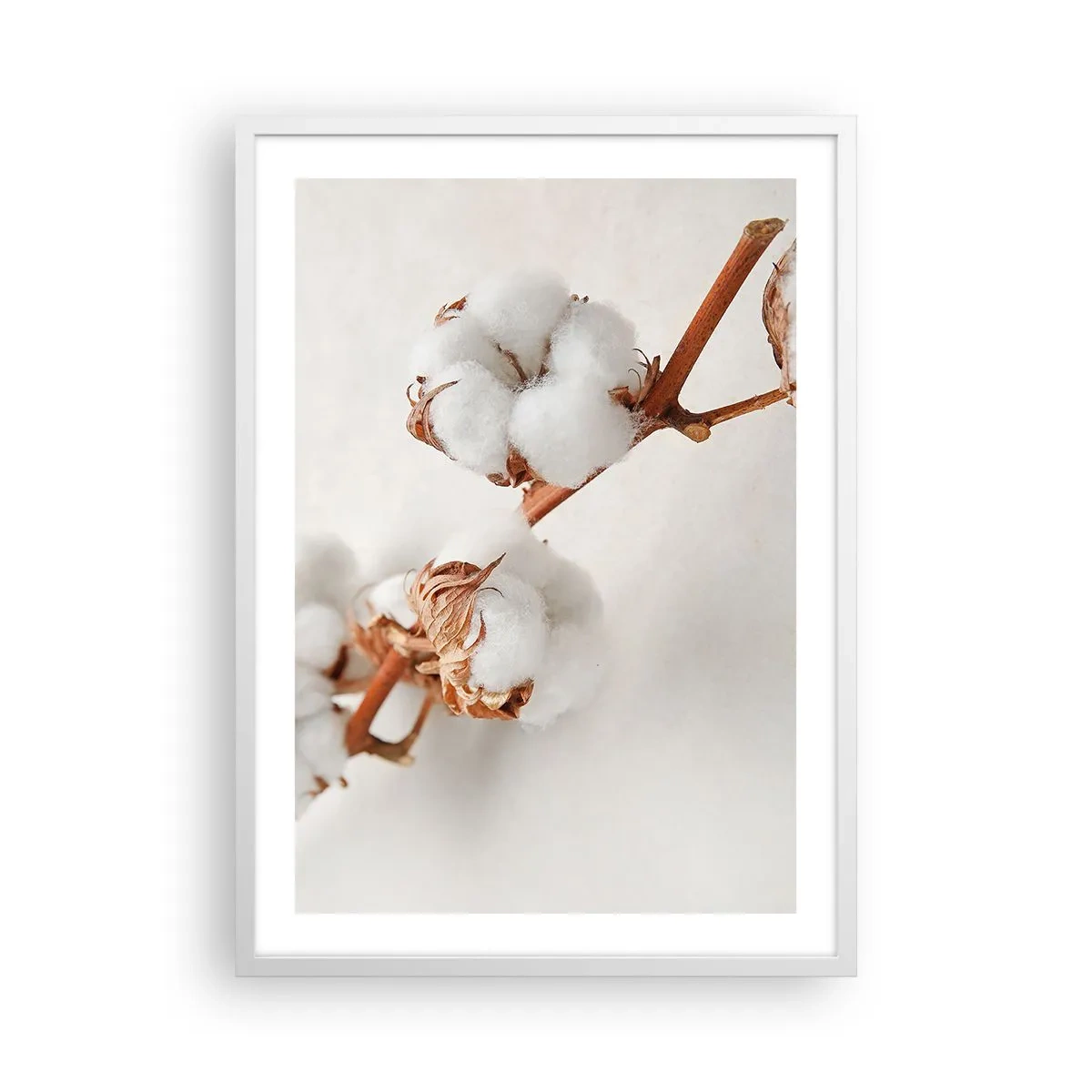 Poster in white frmae - Just Cuddle It - 50x70 cm