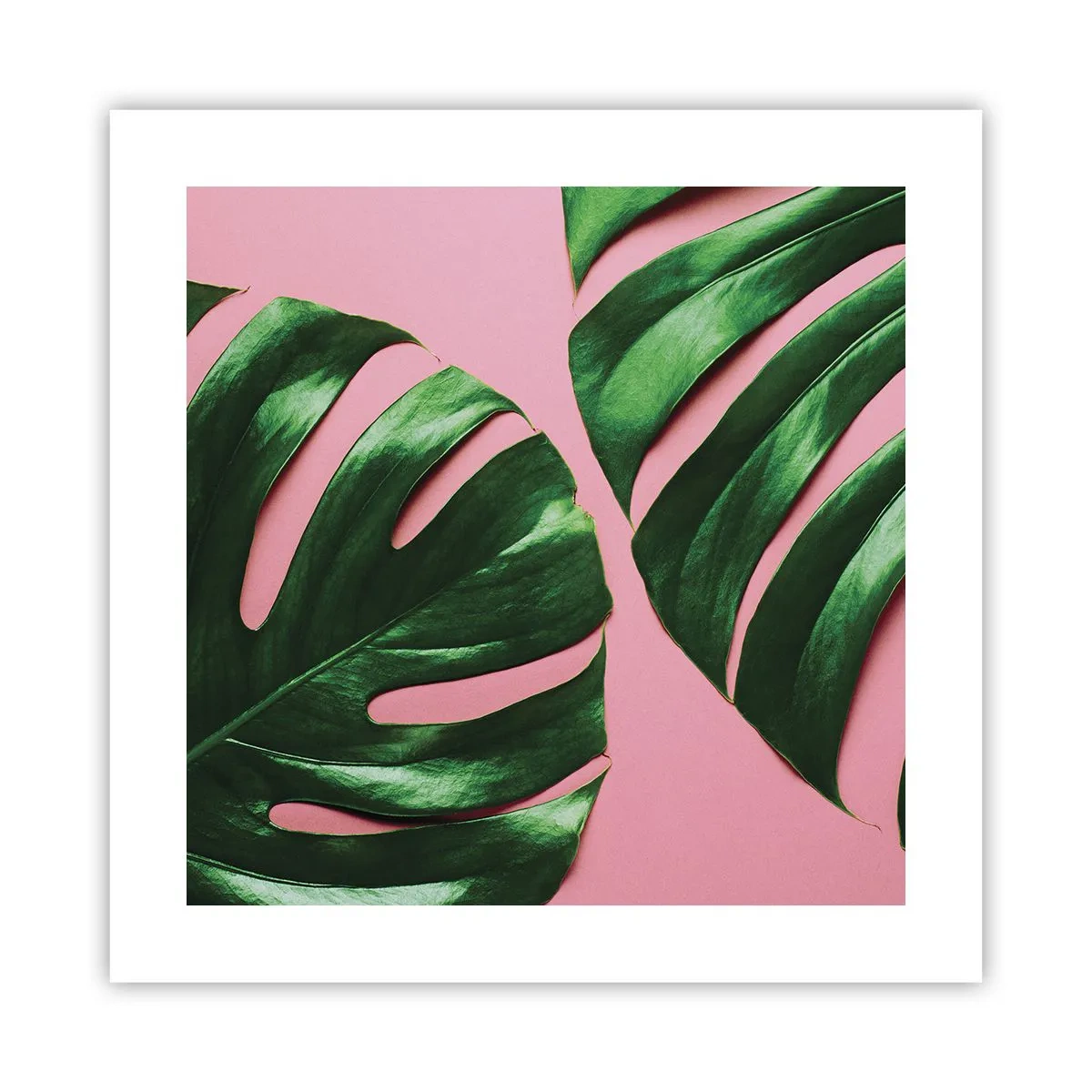 Poster - Green Rendezvous - 40x40 cm