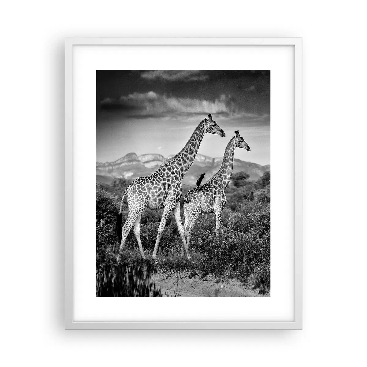 Poster in white frmae - Higher Spheres in Africa - 40x50 cm