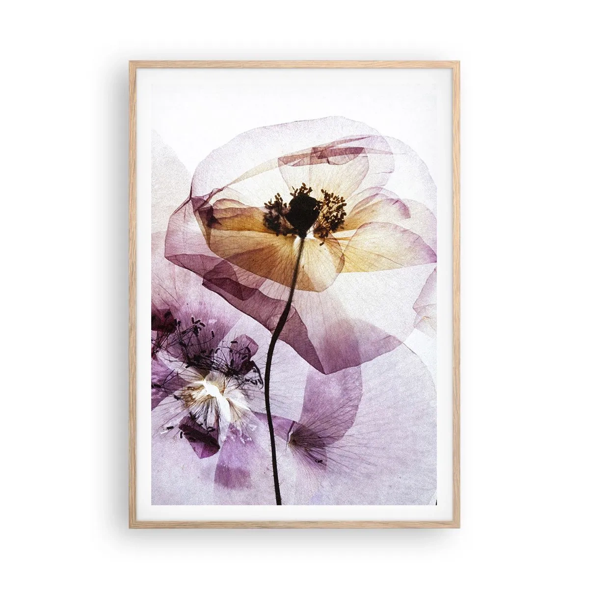 Poster in light oak frame - Flower Body Slide - 70x100 cm