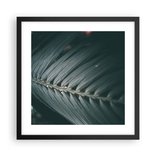 Poster in black frame - Precision of Nature - 40x40 cm