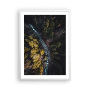 Poster in white frmae - Fast and Faster - 50x70 cm