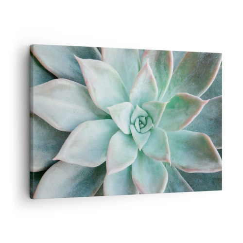 Canvas picture - Close-up of a green succulent - 70x50cm - Heart of a Desert - Modern wall decoration for the living room and bedroom ARTTOR
