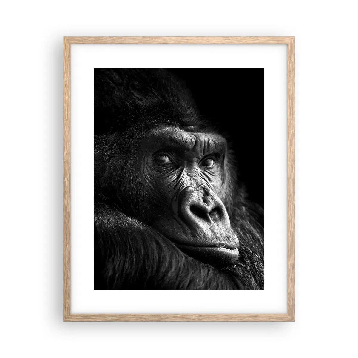 Poster in light oak frame - What Are You Looking At? - 40x50 cm