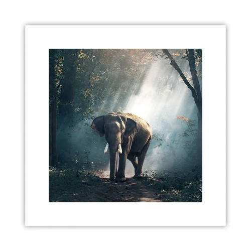 Poster - Quiet Stroll - 30x30 cm