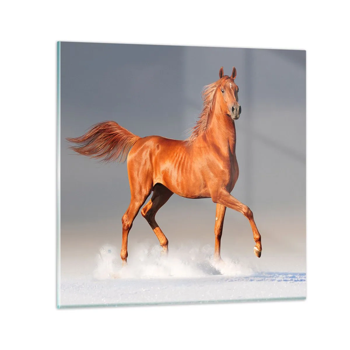 Glass picture - Dancing Grace - 70x70 cm