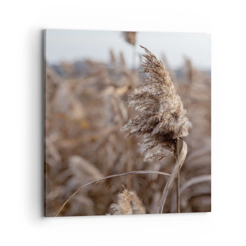 Canvas picture - Time to Fly with the Wind - 70x70 cm