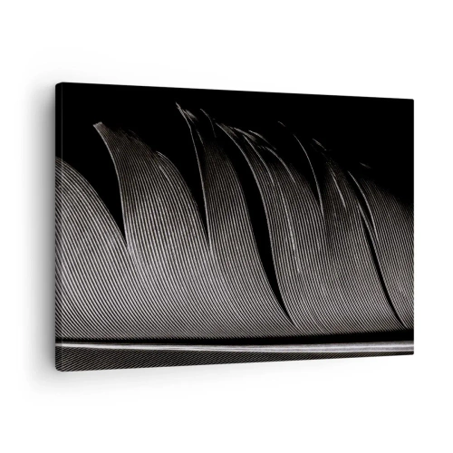 Canvas picture - Black and white feather texture in a minimalist style - 70x50cm - Feather - Wonderful Constract - Modern wall decoration for the living room and bedroom ARTTOR