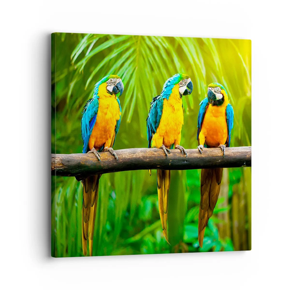 Canvas picture - Did You Hear that She…? - 30x30 cm
