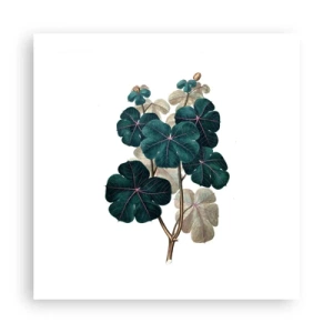 Poster - From the Old Herbarium - 50x50 cm