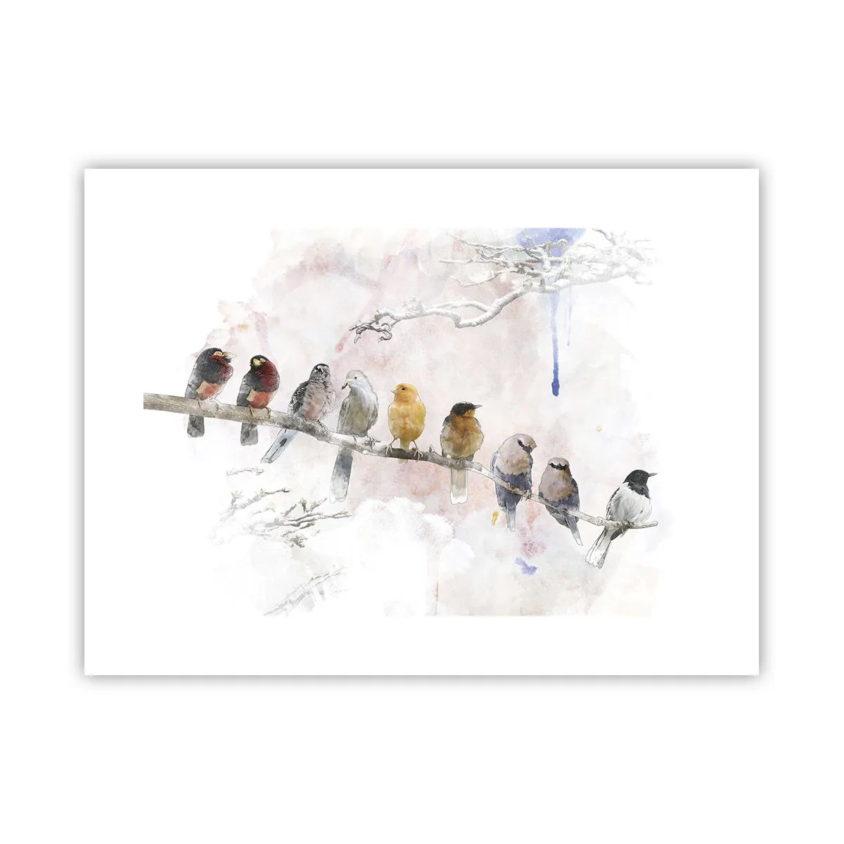 Poster - Winged Encounter - 40x30 cm