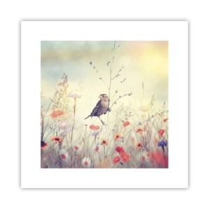 Poster - Bird Portrait with a Meadow in the Background - 30x30 cm
