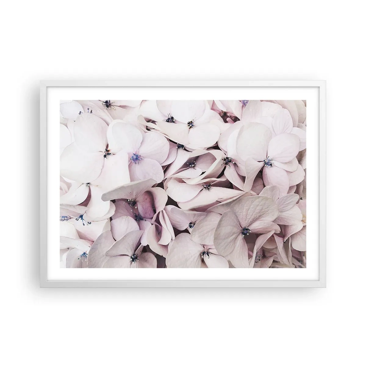 Poster in white frmae - In the Flood of Flowers - 70x50 cm