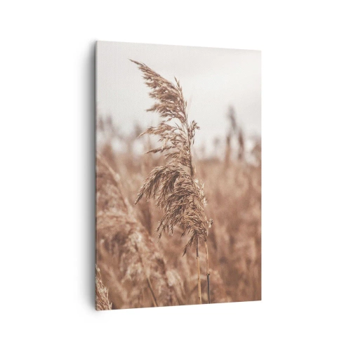 Canvas picture - Autumn Has Arrived in the Fields - 70x100 cm