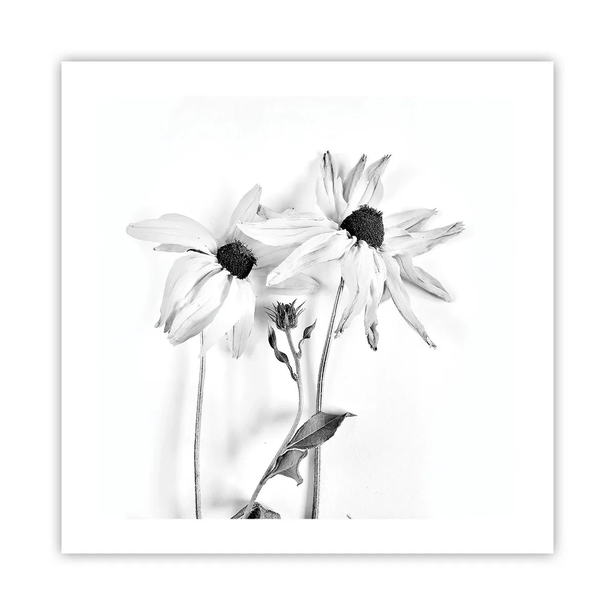 Poster - No one Wants To Be Alone - 50x50 cm