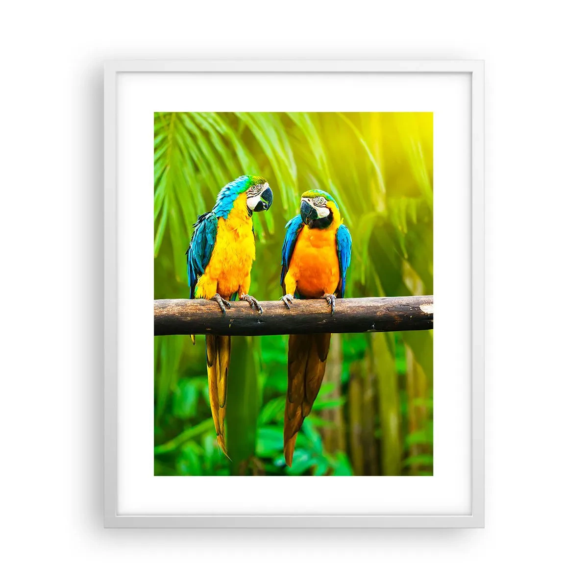 Poster in white frmae - Did You Hear that She…? - 40x50 cm